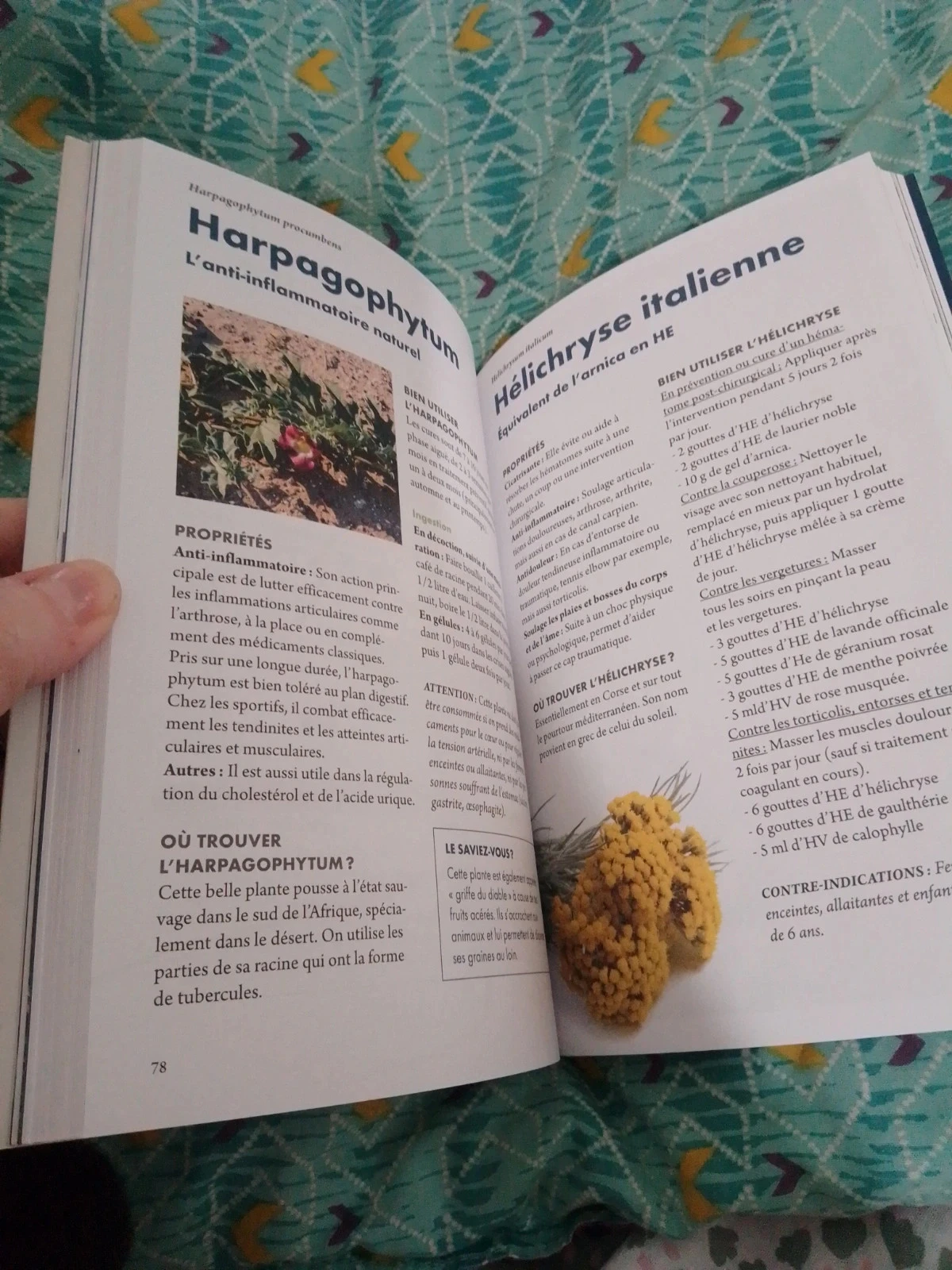 Livre enseignant Se soigner par les plantes remèdes naturels – photo 2